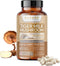 Tiger Milk Mushroom Extract (Lignosus rhinocerus) - Premium LiGNO TM02 - >30%