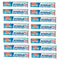 Prepasted Reusable Toothbrush, 30 Pack, Made in the USA