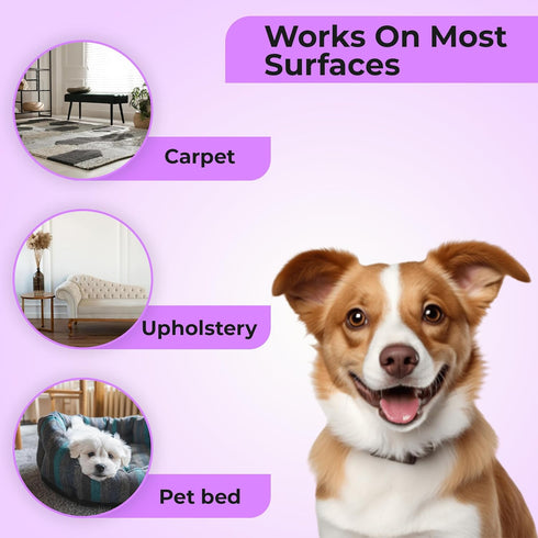 Aromasong Natural Carpet Deodorizer - Lavender Scent Upholstery & Carpet Freshener Powder for Homes with Pets