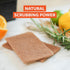 Pack 3 Full Circle Neat Nut Walnut Scour Pads, of Dual-Sided Non-Scratch Dish Scrubbers Made with Plant-Based