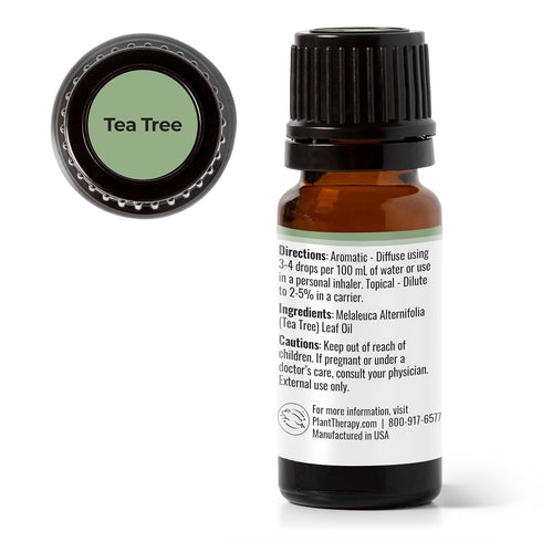 Plant Therapy Tea Tree Essential Oil 10 mL (1/3 oz), 100% Pure, Natural Aromatherapy