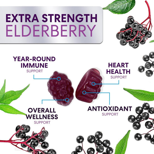 Sambucus Elderberry Immune Support Gummies - Elderberry Extract Gummy with Vitamins C, D3, Zinc, 60 Gummies