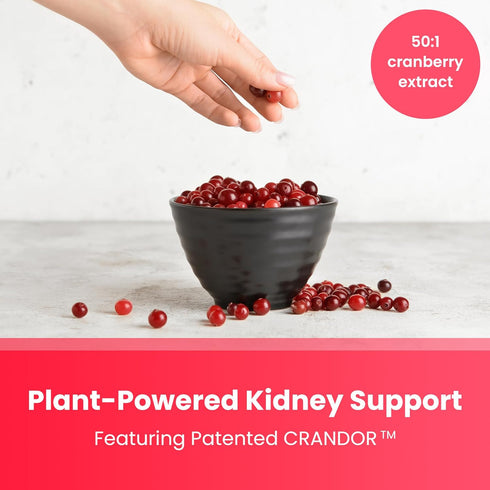 Kidney Cleanse Detox & Repair - 22-In-1 Kidney Health Supplement with 50:1 Cranberry Extract for Urinary Support