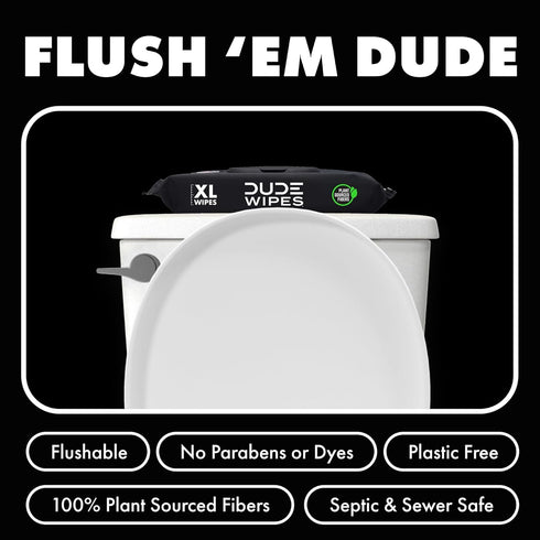 DUDE Wipes - 6 Pack Flushable Wipes for Adults, 288 Wipes - Odor Destroyer XL Wet Wipes with Clean Scent Technology