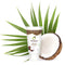 Tropicana Organic Cold Pressed Coconut Oil Hand Cream, Moisturizing, 50g, Coconut#A2U.