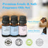 AmaKane Fragrance Oils Clean Set, 6 Premium Soap & Candle Making Scents, Essential Oils for Laundry & More