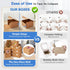 Shallive 4-Inch Small Cookie Boxes, 100 Pcs Brown Bakery Treat Boxes with Window for Gifting, To-go Containers