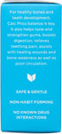 Hyland's Naturals Cell Salts 2 Calcarea Phosphorica 6X Tablets - Natural Homeopathic Relief for Oral Pain - 100 Count