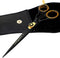 Saaqaans SQR-01 Professional Hairdressing Scissor - Perfect for Salon/Barber/Home Use with Black Pouch