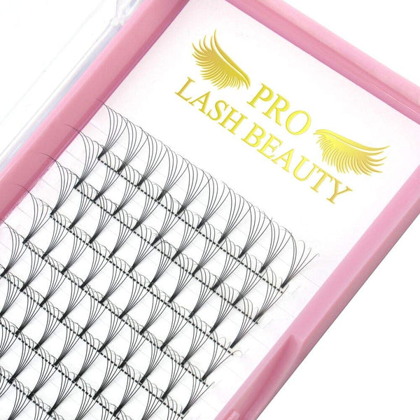 Premade Fans Eyelash Extensions 5D-D-0.10-15, 3D 5D 7D Volume Lash Extensions, C D Curl, 9 to 20 mm (5D-D-0.10,15mm)
