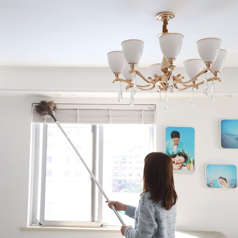 Gray Ostrich Feather Duster, 71 Inch Extendable Pole for Home Cleaning