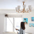 Gray Ostrich Feather Duster, 71 Inch Extendable Pole for Home Cleaning