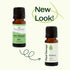 Plant Therapy Dill Weed Essential Oil 10 mL (1/3 oz) 100% Pure, Therapeutic Grade
