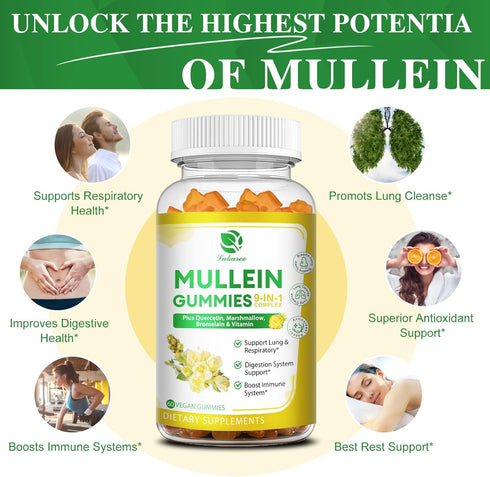 (2 Pack) 9 in 1 Mullein Gummies for Lung Cleanse, Extra Strength 10000MG Mullein Leaf Extract with Quercetin - 120 Ct