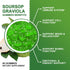 Organic Soursop Graviola Gummies, 2200mg Extra Strength, Zinc & Vitamin C, 60 Gummies, Vegan