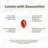 DEAL SUPPLEMENT Lutein and Zeaxanthin 40mg Per Serving - 300 Softgels, Essential Eye Vitamins & Vision Health Support