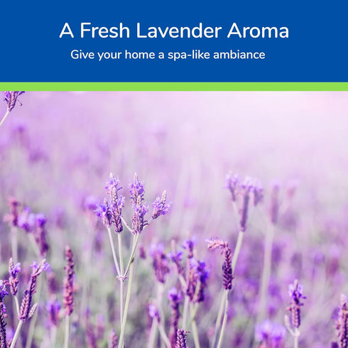 Earth's Care Lavender Oil, Pure Steam Distilled 100% Lavender Essential Oil for Diffuser