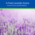 Earth's Care Lavender Oil, Pure Steam Distilled 100% Lavender Essential Oil for Diffuser