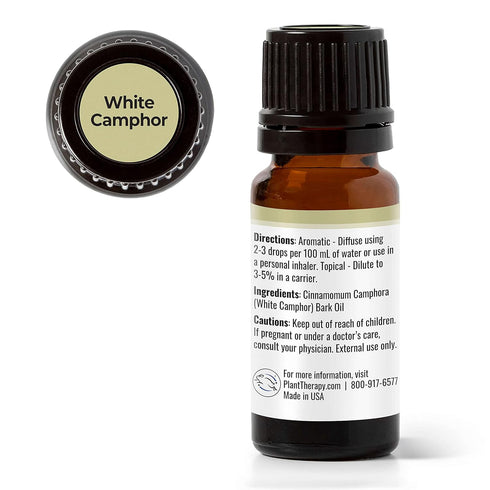 Plant Therapy White Camphor Essential Oil, 10 mL (1/3 oz), 100% Pure