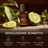 Gya Labs Bergamot Essential Oil - 100% Pure Natural Aromatherapy Oil for Mood Uplift, Skin Soothing - 0.34 fl oz