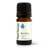 Plant Therapy Blue Tansy Essential Oil, 100% Pure, 5 mL (1/6 oz), Natural Aromatherapy