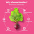WellPath Beet Root Gummies | 1500mg Sugar Free Blueberry Flavor for Blood Pressure Support, 60 Ct