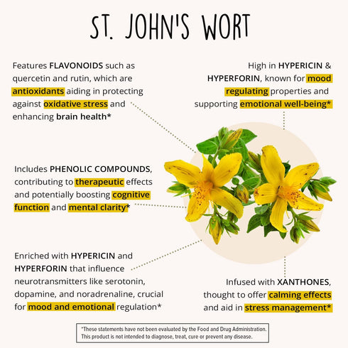 Joy-Filled Mood Support Supplement with St. Johns Wort, 100% Plant-Based Stress Relief Supplement for Calm Mind & Body,
