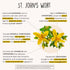 Joy-Filled Mood Support Supplement with St. Johns Wort, 100% Plant-Based Stress Relief Supplement for Calm Mind & Body,