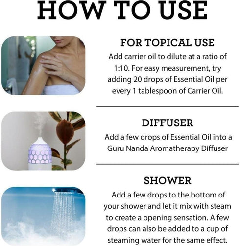 GuruNanda Sleep Essential Oil Set (Pack of 3 x 0.34 Fl Oz) - Pure Cedarwood, Frankincense & Lavender Oils