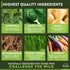 TruWild Greens Superfood Cucumber Powder, 22+ Greens & Anti-Oxidants, 30 Servings Per Tub