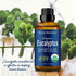 Organic Eucalyptus Essential Oil 30 ml - Pure Natural Oil for Diffuser, Sauna, and Aromatherapy