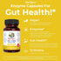MaryRuth Organics Gut Flora Health+ Enzymes, 60 Capsules for Digestive Support & Healthy Gut Biome