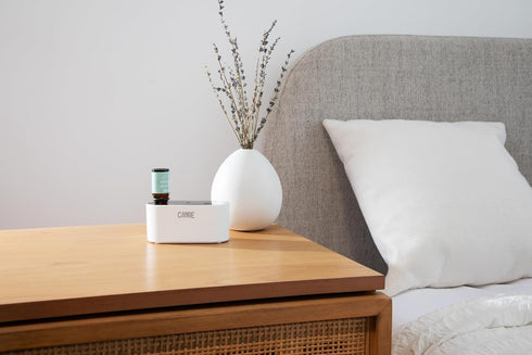 Set 3 CE CRAFT Waterless Travel Diffuser Gift - Rechargeable Diffuser for Aromatherapy - Includes Fragrance Oils