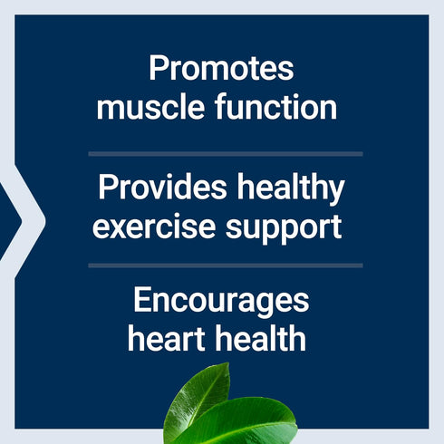 Life Extension Super Carnosine 500mg, 60 Vegetarian Capsules - L-Carnosine Supplement for Muscle Recovery and Healthy