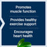 Life Extension Super Carnosine 500mg, 60 Vegetarian Capsules - L-Carnosine Supplement for Muscle Recovery and Healthy