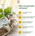 Capsuline Size 00 Empty Vegan Capsules, Clear, 1000 Count, Vegetarian, Kosher