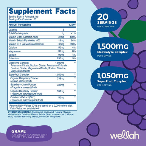 Splish Splash Hydration (Grape Flavor) - 20 Stick Packs Electrolyte Drink Mix with Superfruit Complex