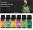 Essential Oil Set - 100% Pure Natural, 6-Pack (Tea Tree, Eucalyptus, Lavender,
