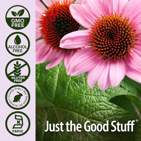 Nature's Answer Echinacea and Goldenseal, 4oz, Supports Healthy Immune System