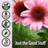 Nature's Answer Echinacea and Goldenseal, 4oz, Supports Healthy Immune System