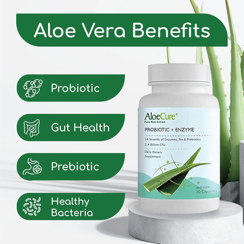 AloeCure Probiotics + Enzyme Capsules | 30 Capsules | 2.4 Billion CFU for Women's Digestive Health | Daily Aloe