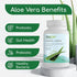 AloeCure Probiotics + Enzyme Capsules | 30 Capsules | 2.4 Billion CFU for Women's Digestive Health | Daily Aloe