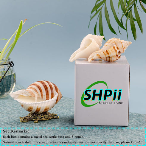 Handmade Natural Scented Candles - Conch Shell Soy Wax Candles Scented with Essential Oils, Home Scented Candles