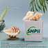 Handmade Natural Scented Candles - Conch Shell Soy Wax Candles Scented with Essential Oils, Home Scented Candles