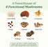 Gummies Immune (60 Count) Plant People WonderDay Mushroom - Lions Mane, Cordyceps, Chaga Mushroom Supplement to Support