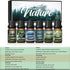 HIQILI Nature Fragrance Oil 6x10ml, Essential Oils Set for Candle Scents, Soap Making & Diffuser