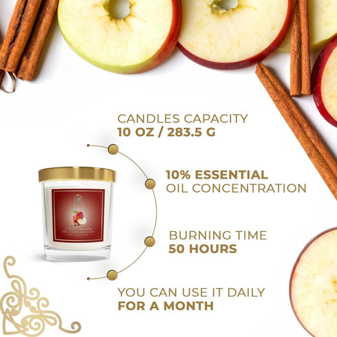 Scented Candle - Apple Cinnamon - Aromatherapy - Stress Relief - Home Ambience - Natural Blend - Meditation - Birthday