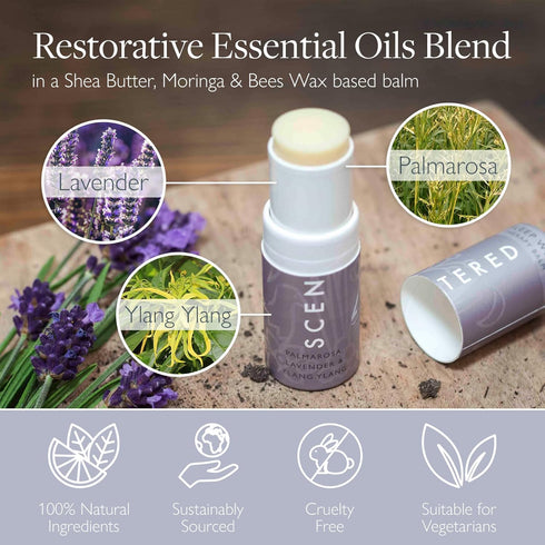 Scentered Sleep Well Balm - Aromatherapy Sleepstick with Lavender & Chamomile, Essential Oil Roll On for Relaxation