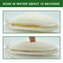 Natural Loofah Exfoliating Body Scrubber, 6 Pack Shower Sponge for Men and Women’s SPA