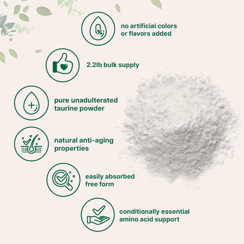 Micro Ingredients Taurine Powder Supplement | 1 KG, 2000mg Per Serving | 100% Pure, Unflavored